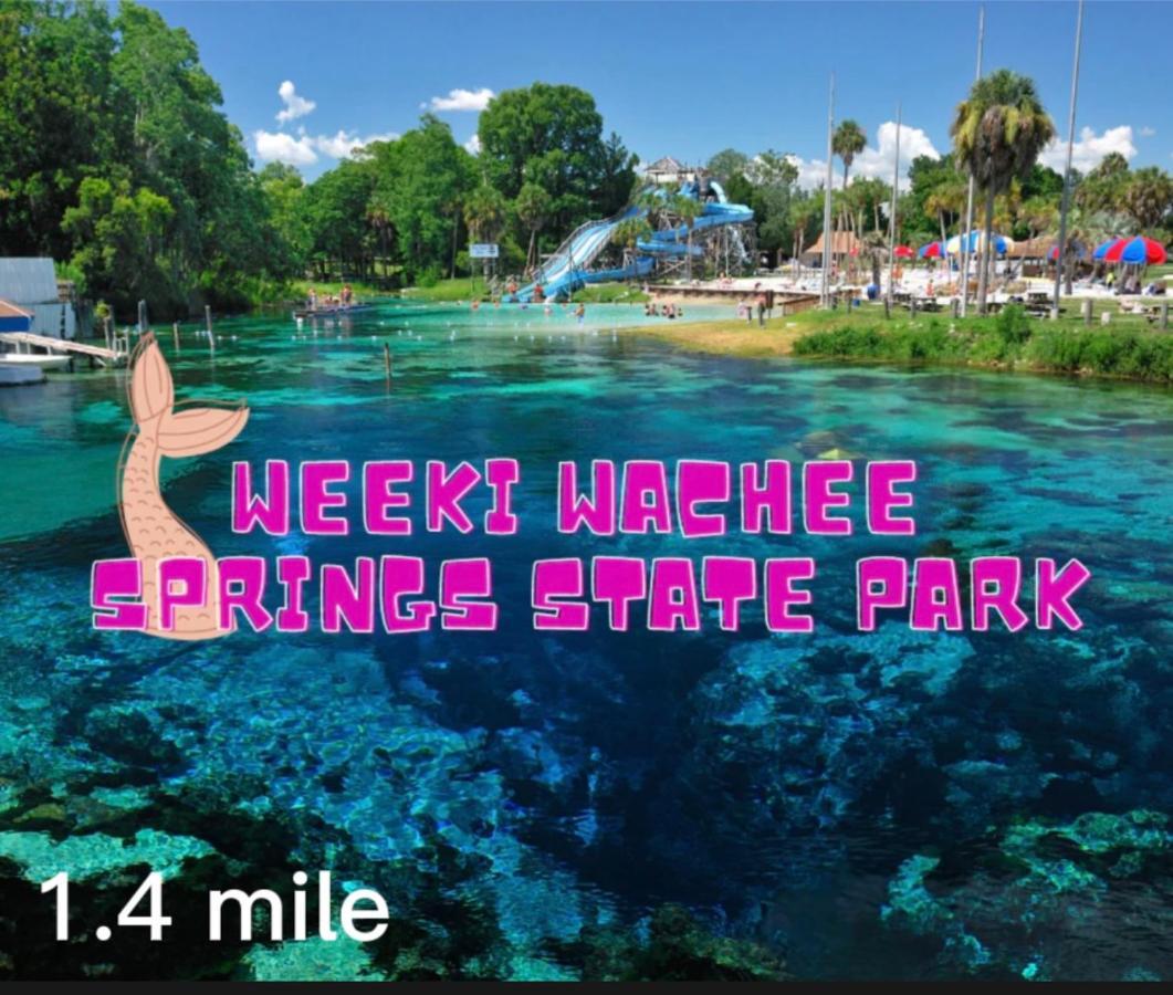 Bonne Nuit Weeki Wachee Villa Eksteriør billede